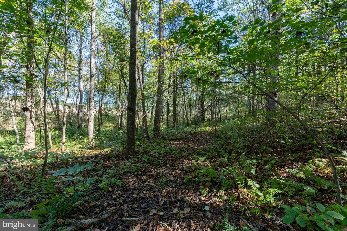ORANGE RD, PRATTS, Virginia 22731, ,Land,For sale,ORANGE RD,VAMA2002476 MLS # VAMA2002476