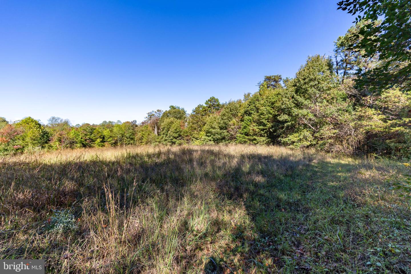 ORANGE RD, PRATTS, Virginia 22731, ,Land,For sale,ORANGE RD,VAMA2002476 MLS # VAMA2002476
