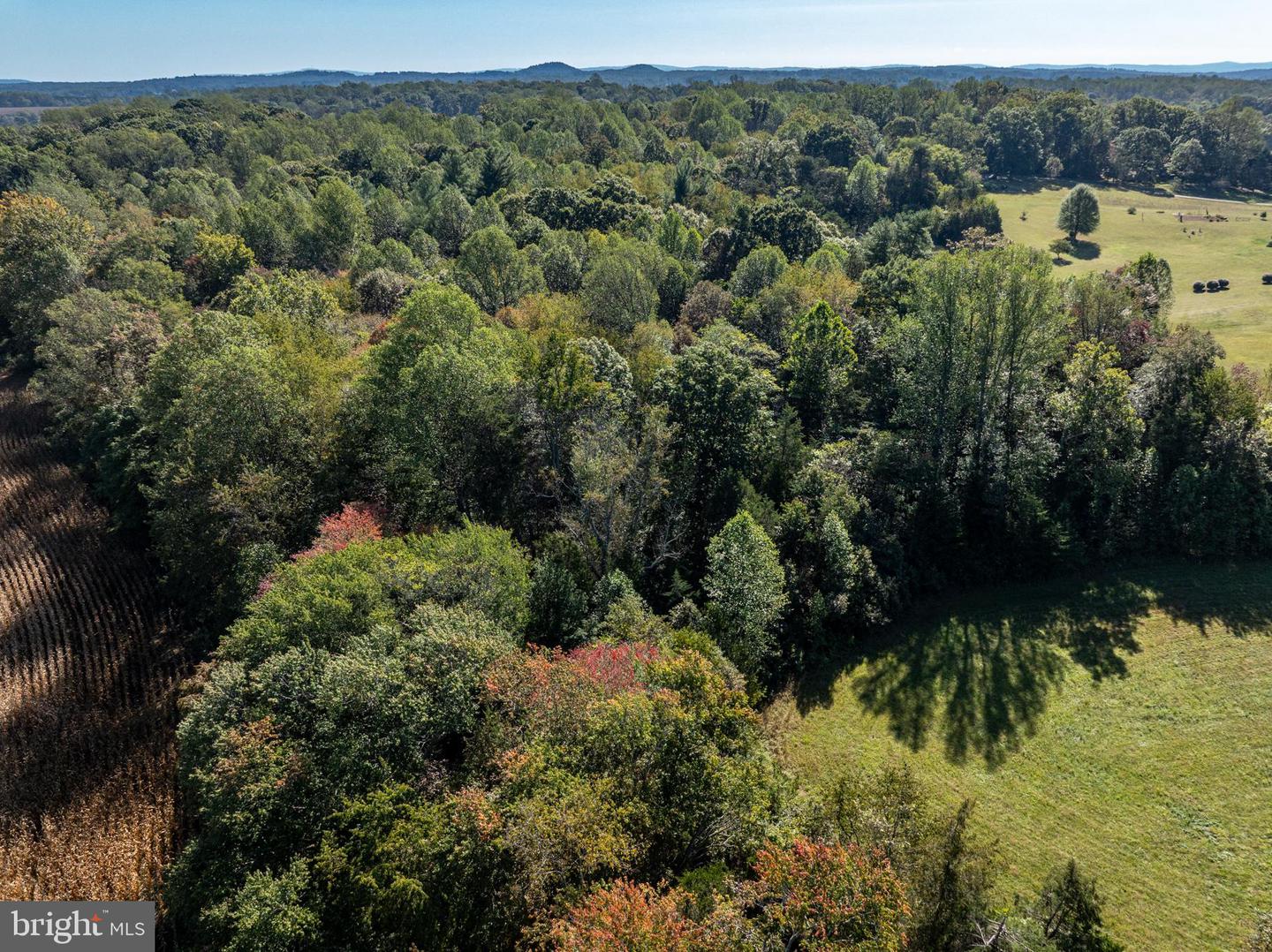 ORANGE RD, PRATTS, Virginia 22731, ,Land,For sale,ORANGE RD,VAMA2002476 MLS # VAMA2002476