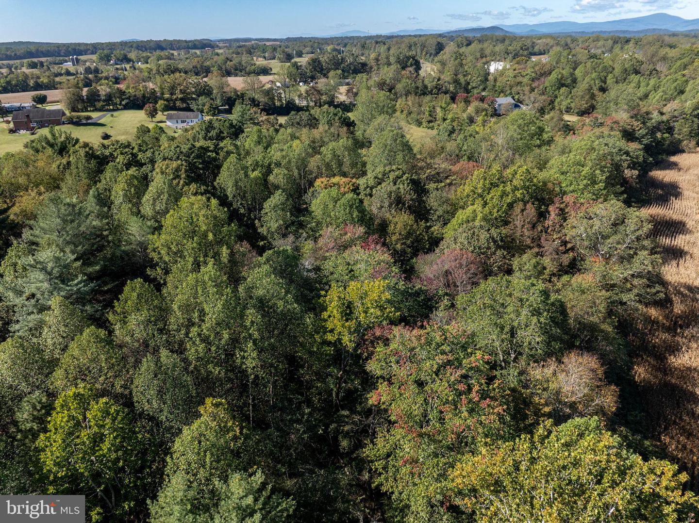 ORANGE RD, PRATTS, Virginia 22731, ,Land,For sale,ORANGE RD,VAMA2002476 MLS # VAMA2002476