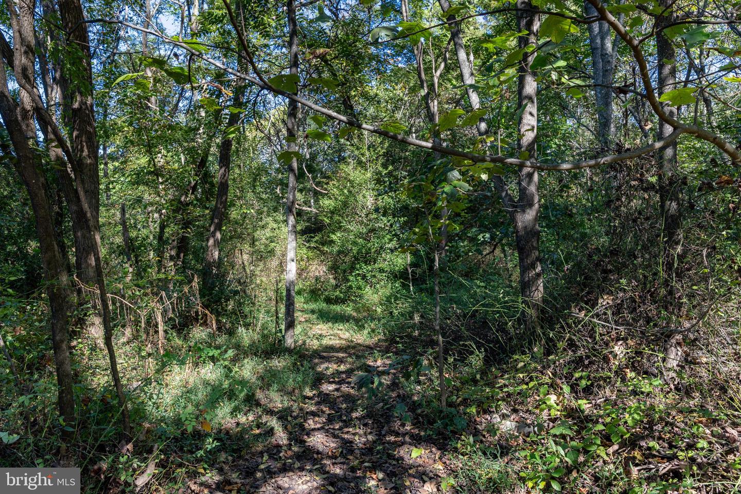 ORANGE RD, PRATTS, Virginia 22731, ,Land,For sale,ORANGE RD,VAMA2002476 MLS # VAMA2002476