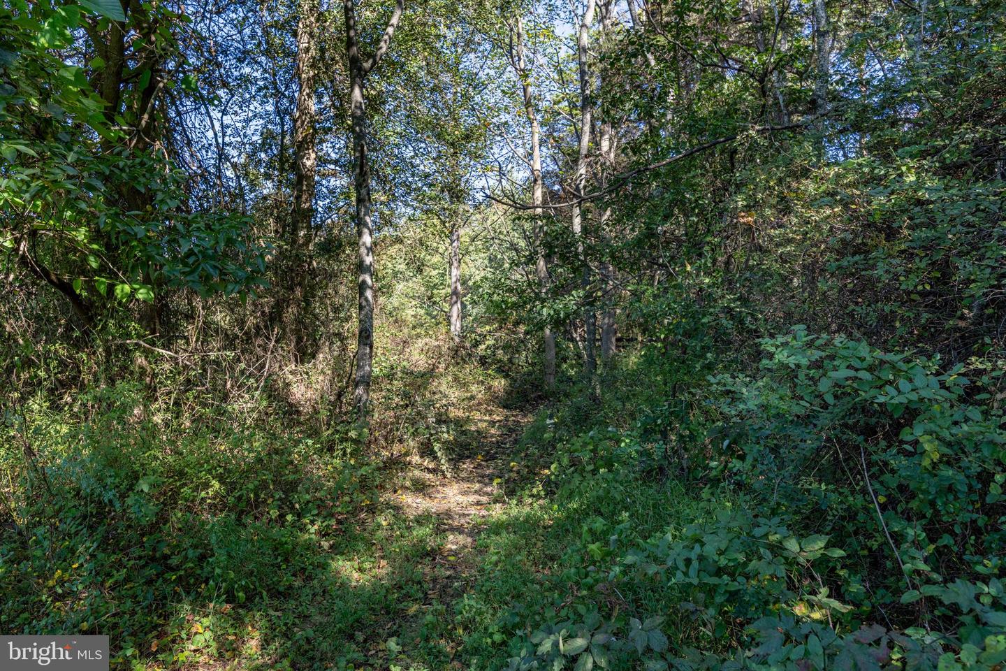 ORANGE RD, PRATTS, Virginia 22731, ,Land,For sale,ORANGE RD,VAMA2002476 MLS # VAMA2002476
