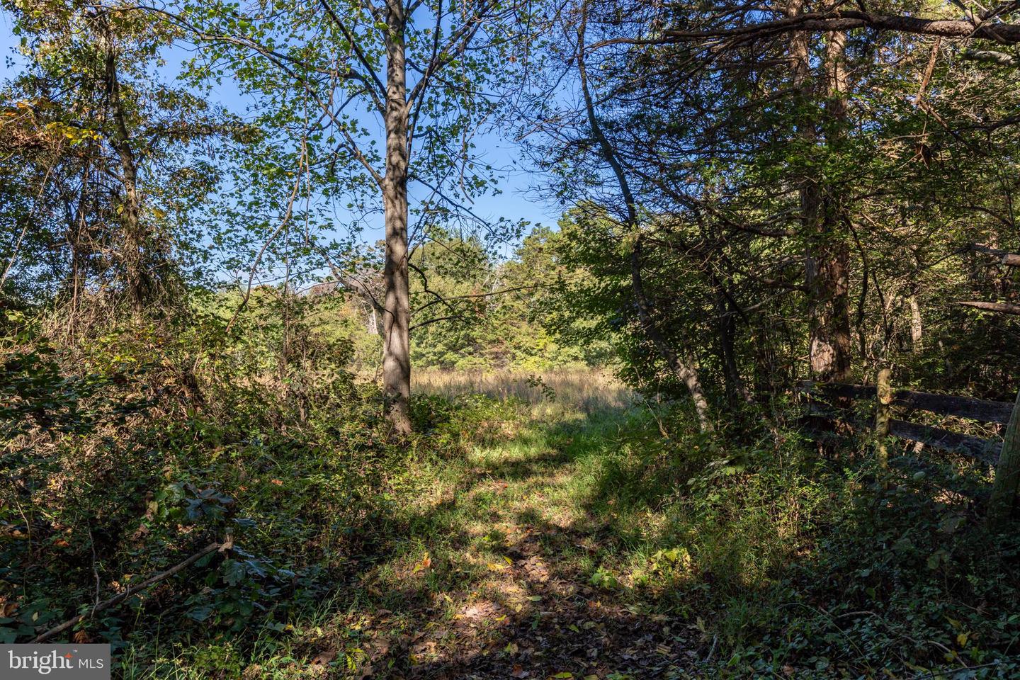 ORANGE RD, PRATTS, Virginia 22731, ,Land,For sale,ORANGE RD,VAMA2002476 MLS # VAMA2002476