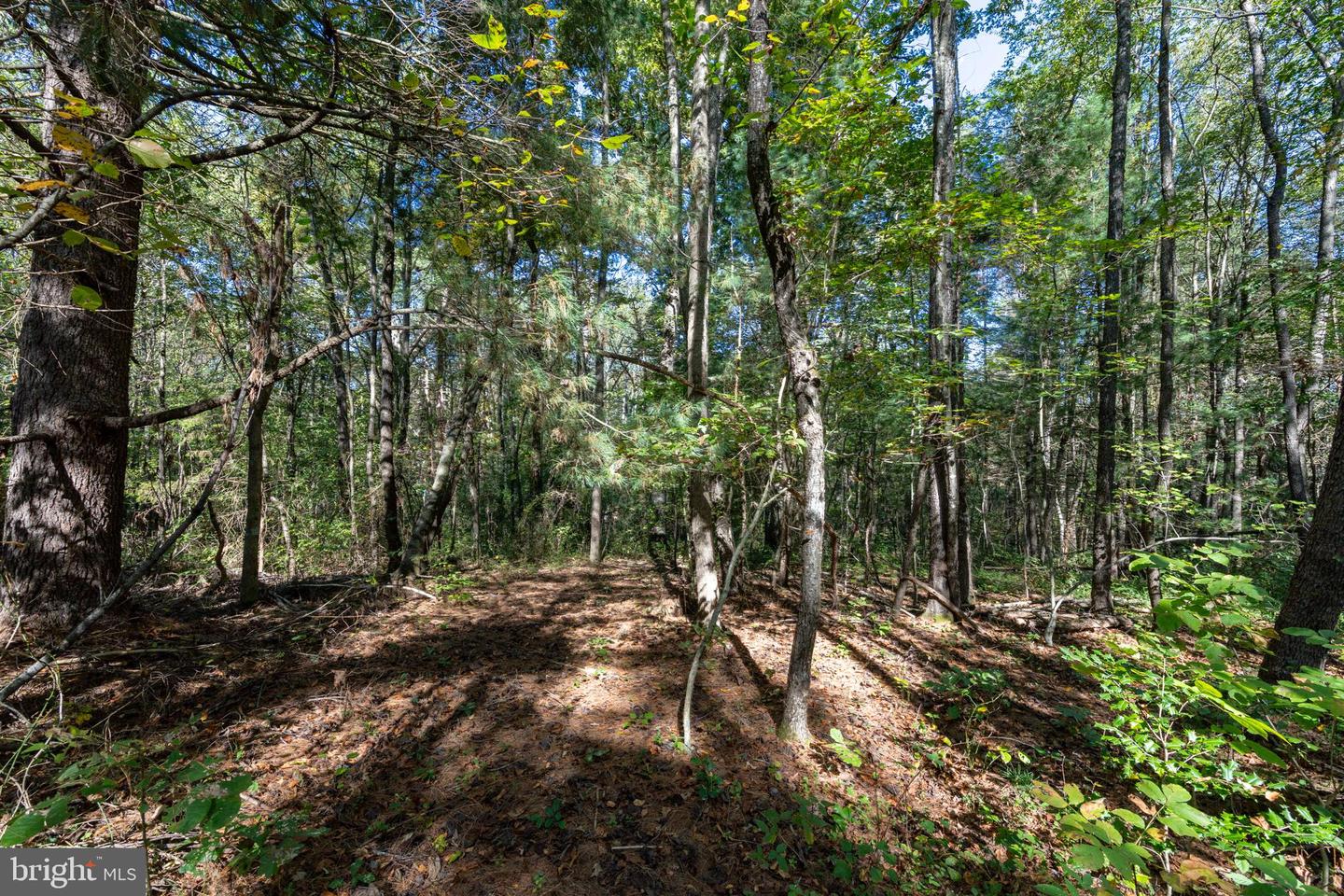 ORANGE RD, PRATTS, Virginia 22731, ,Land,For sale,ORANGE RD,VAMA2002476 MLS # VAMA2002476