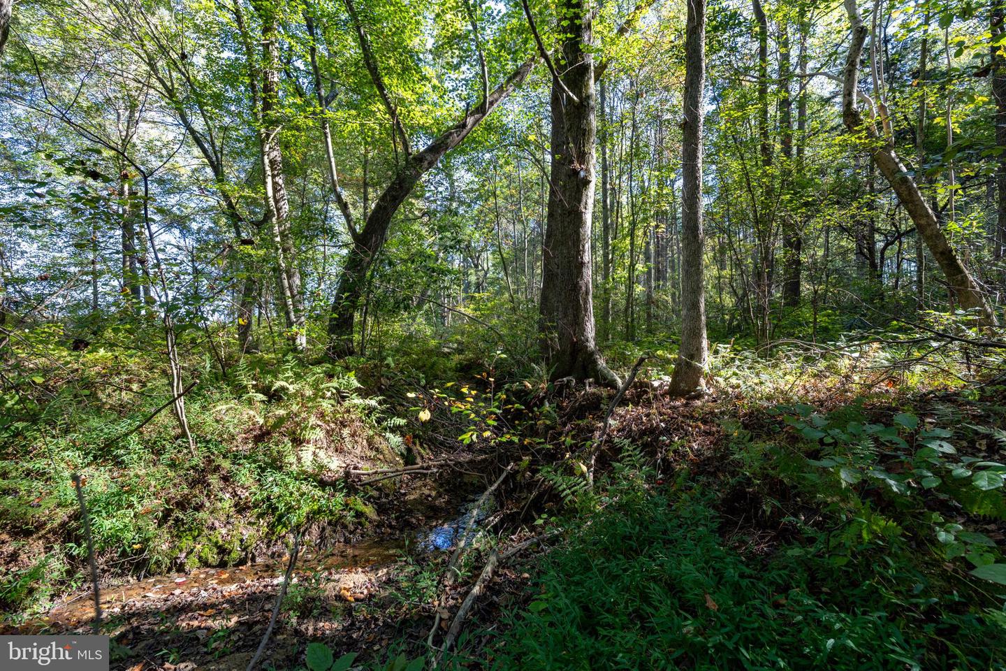 ORANGE RD, PRATTS, Virginia 22731, ,Land,For sale,ORANGE RD,VAMA2002476 MLS # VAMA2002476