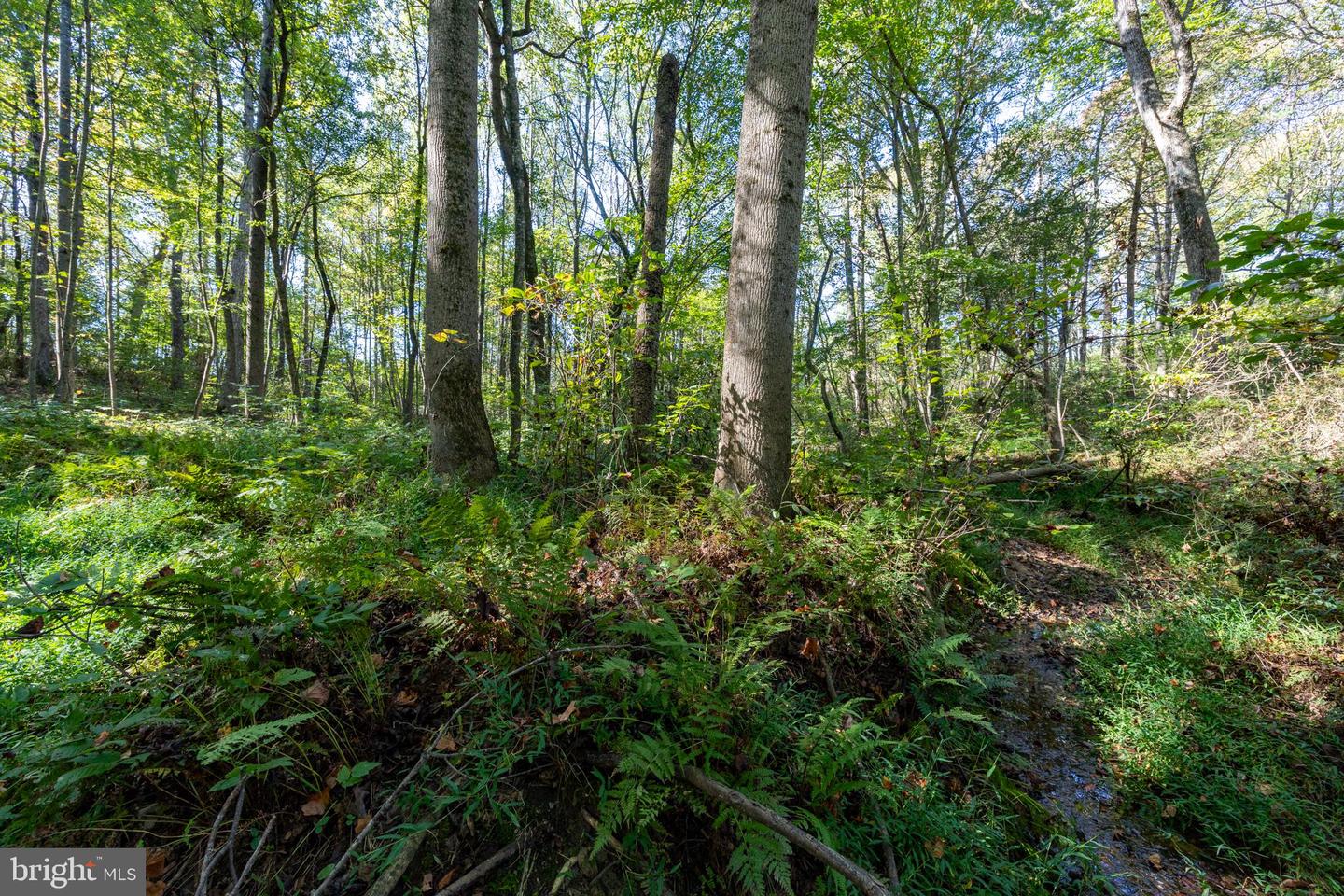 ORANGE RD, PRATTS, Virginia 22731, ,Land,For sale,ORANGE RD,VAMA2002476 MLS # VAMA2002476