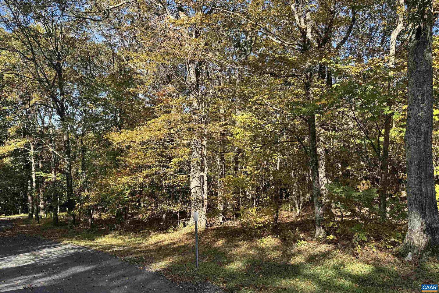 TBD WINTER WREN LN #20, WINTERGREEN RESORT, Virginia 22967, ,Land,For sale,TBD WINTER WREN LN #20,669947 MLS # 669947