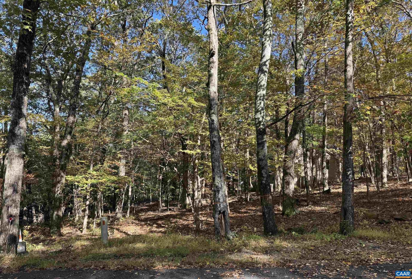 TBD WINTER WREN LN #20, WINTERGREEN RESORT, Virginia 22967, ,Land,For sale,TBD WINTER WREN LN #20,669947 MLS # 669947