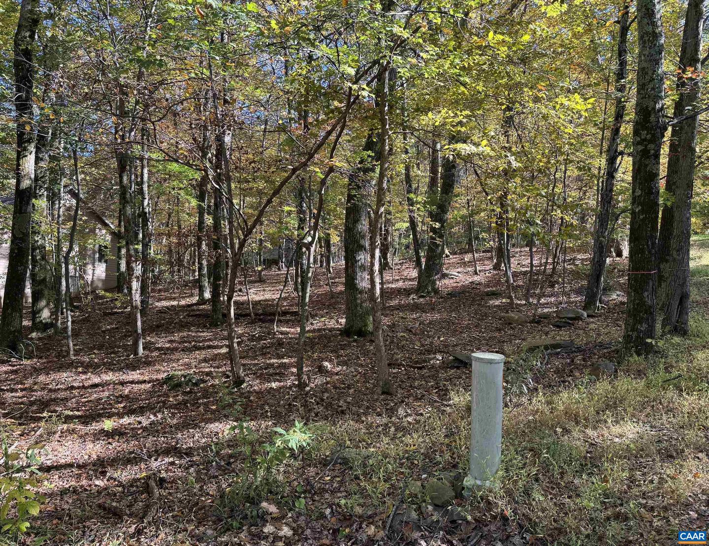 TBD WINTER WREN LN #20, WINTERGREEN RESORT, Virginia 22967, ,Land,For sale,TBD WINTER WREN LN #20,669947 MLS # 669947