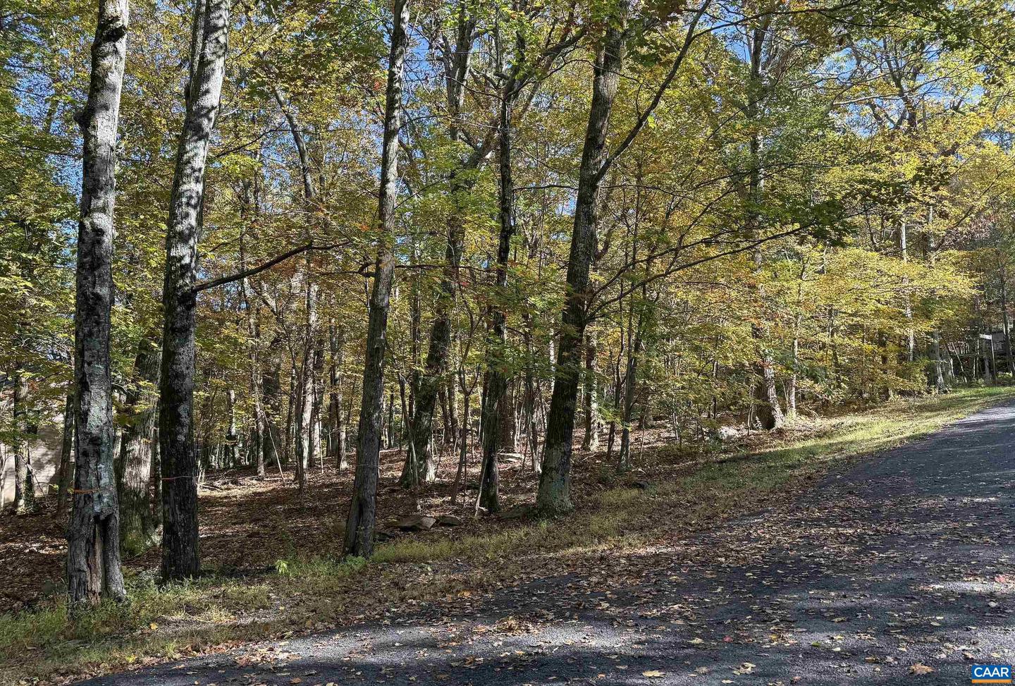 TBD WINTER WREN LN #20, WINTERGREEN RESORT, Virginia 22967, ,Land,For sale,TBD WINTER WREN LN #20,669947 MLS # 669947