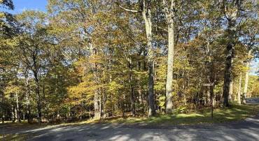TBD WINTER WREN LN #20, WINTERGREEN RESORT, Virginia 22967, ,Land,For sale,TBD WINTER WREN LN #20,669947 MLS # 669947