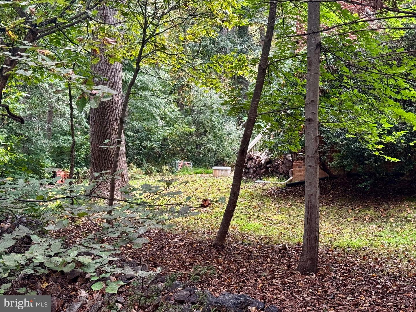 0 MOUNT SINAI POINTE, FORT VALLEY, Virginia 22652, ,Land,For sale,0 MOUNT SINAI POINTE,VASH2012760 MLS # VASH2012760