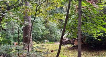 0 MOUNT SINAI POINTE, FORT VALLEY, Virginia 22652, ,Land,For sale,0 MOUNT SINAI POINTE,VASH2012760 MLS # VASH2012760