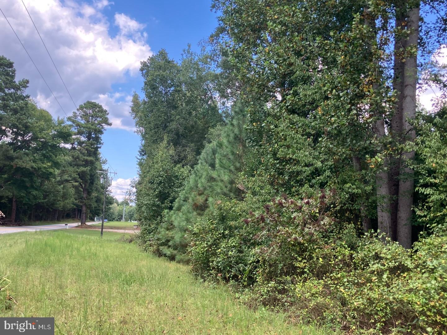 3.73 ACRES LIBERTY RD, ALBERTA, Virginia 23821, ,Land,For sale,3.73 ACRES LIBERTY RD,VABW2000092 MLS # VABW2000092 3.73 ACRES LIBERTY RD, ALBERTA, Virginia 23821, ,Land,For sale,3.73 ACRES LIBERTY RD,VABW2000092 MLS # VABW2000092
