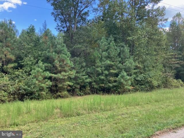 3.73 ACRES LIBERTY RD, ALBERTA, Virginia 23821, ,Land,For sale,3.73 ACRES LIBERTY RD,VABW2000092 MLS # VABW2000092 3.73 ACRES LIBERTY RD, ALBERTA, Virginia 23821, ,Land,For sale,3.73 ACRES LIBERTY RD,VABW2000092 MLS # VABW2000092