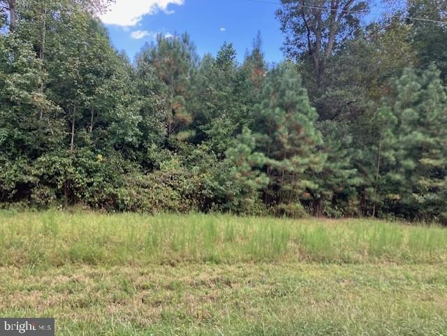 3.73 ACRES LIBERTY RD, ALBERTA, Virginia 23821, ,Land,For sale,3.73 ACRES LIBERTY RD,VABW2000092 MLS # VABW2000092 3.73 ACRES LIBERTY RD, ALBERTA, Virginia 23821, ,Land,For sale,3.73 ACRES LIBERTY RD,VABW2000092 MLS # VABW2000092
