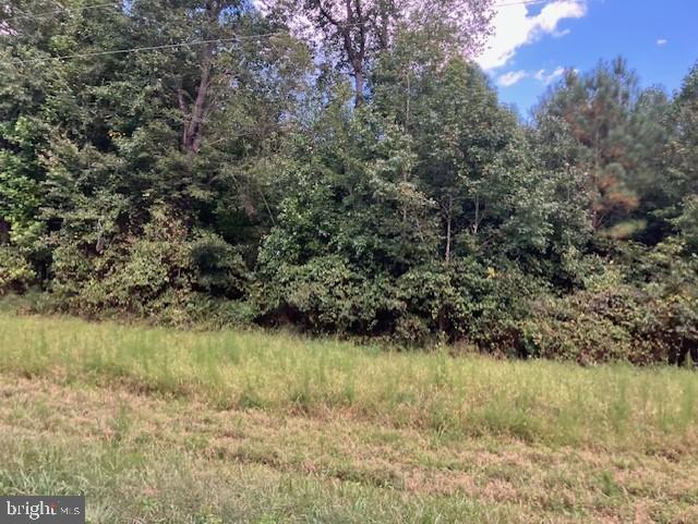 3.73 ACRES LIBERTY RD, ALBERTA, Virginia 23821, ,Land,For sale,3.73 ACRES LIBERTY RD,VABW2000092 MLS # VABW2000092 3.73 ACRES LIBERTY RD, ALBERTA, Virginia 23821, ,Land,For sale,3.73 ACRES LIBERTY RD,VABW2000092 MLS # VABW2000092