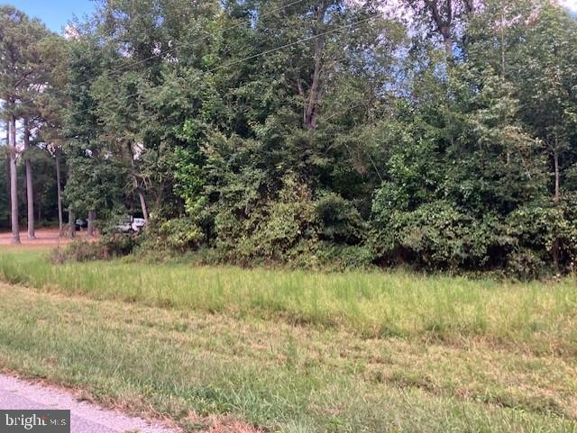 3.73 ACRES LIBERTY RD, ALBERTA, Virginia 23821, ,Land,For sale,3.73 ACRES LIBERTY RD,VABW2000092 MLS # VABW2000092 3.73 ACRES LIBERTY RD, ALBERTA, Virginia 23821, ,Land,For sale,3.73 ACRES LIBERTY RD,VABW2000092 MLS # VABW2000092