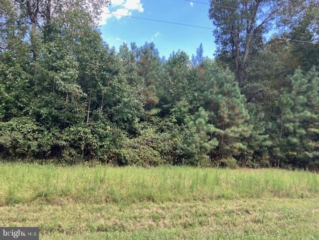 3.73 ACRES LIBERTY RD, ALBERTA, Virginia 23821, ,Land,For sale,3.73 ACRES LIBERTY RD,VABW2000092 MLS # VABW2000092 3.73 ACRES LIBERTY RD, ALBERTA, Virginia 23821, ,Land,For sale,3.73 ACRES LIBERTY RD,VABW2000092 MLS # VABW2000092