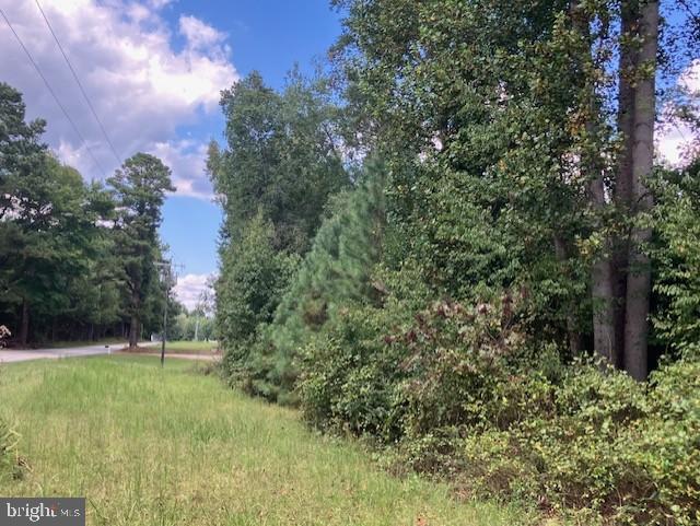 3.73 ACRES LIBERTY RD, ALBERTA, Virginia 23821, ,Land,For sale,3.73 ACRES LIBERTY RD,VABW2000092 MLS # VABW2000092 3.73 ACRES LIBERTY RD, ALBERTA, Virginia 23821, ,Land,For sale,3.73 ACRES LIBERTY RD,VABW2000092 MLS # VABW2000092