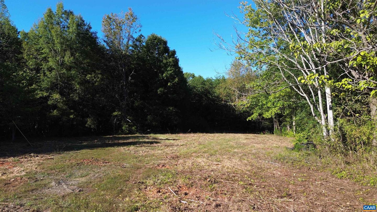87 OLD FORK LN, PALMYRA, Virginia 22963, ,Land,For sale,87 OLD FORK LN,669958 MLS # 669958