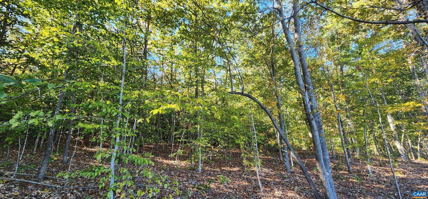87 OLD FORK LN, PALMYRA, Virginia 22963, ,Land,For sale,87 OLD FORK LN,669958 MLS # 669958