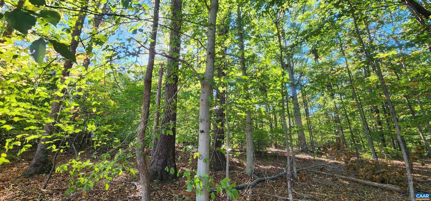 87 OLD FORK LN, PALMYRA, Virginia 22963, ,Land,For sale,87 OLD FORK LN,669958 MLS # 669958