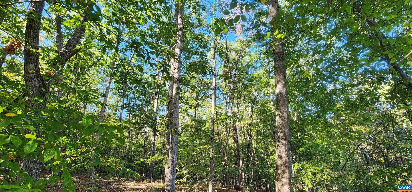 87 OLD FORK LN, PALMYRA, Virginia 22963, ,Land,For sale,87 OLD FORK LN,669958 MLS # 669958