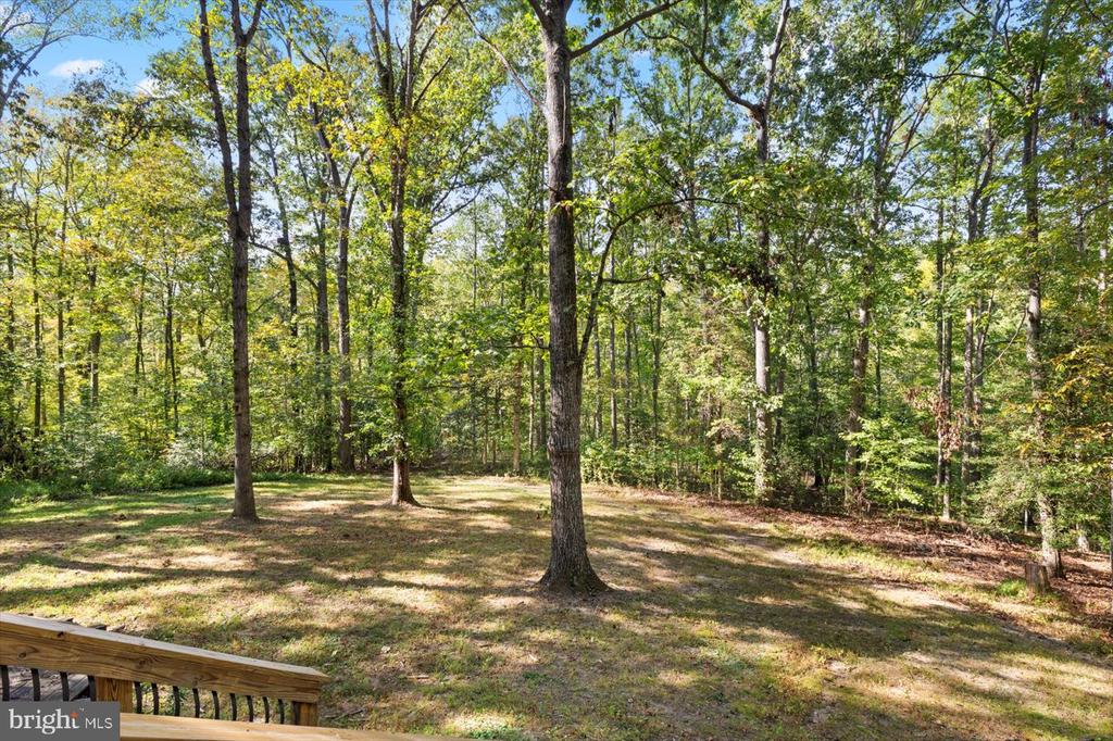 12905 SPOTSWOOD FURNACE RD, FREDERICKSBURG, Virginia 22407, 3 Bedrooms Bedrooms, ,2 BathroomsBathrooms,Residential,12905 SPOTSWOOD FURNACE RD,VASP2036848 MLS # VASP2036848
