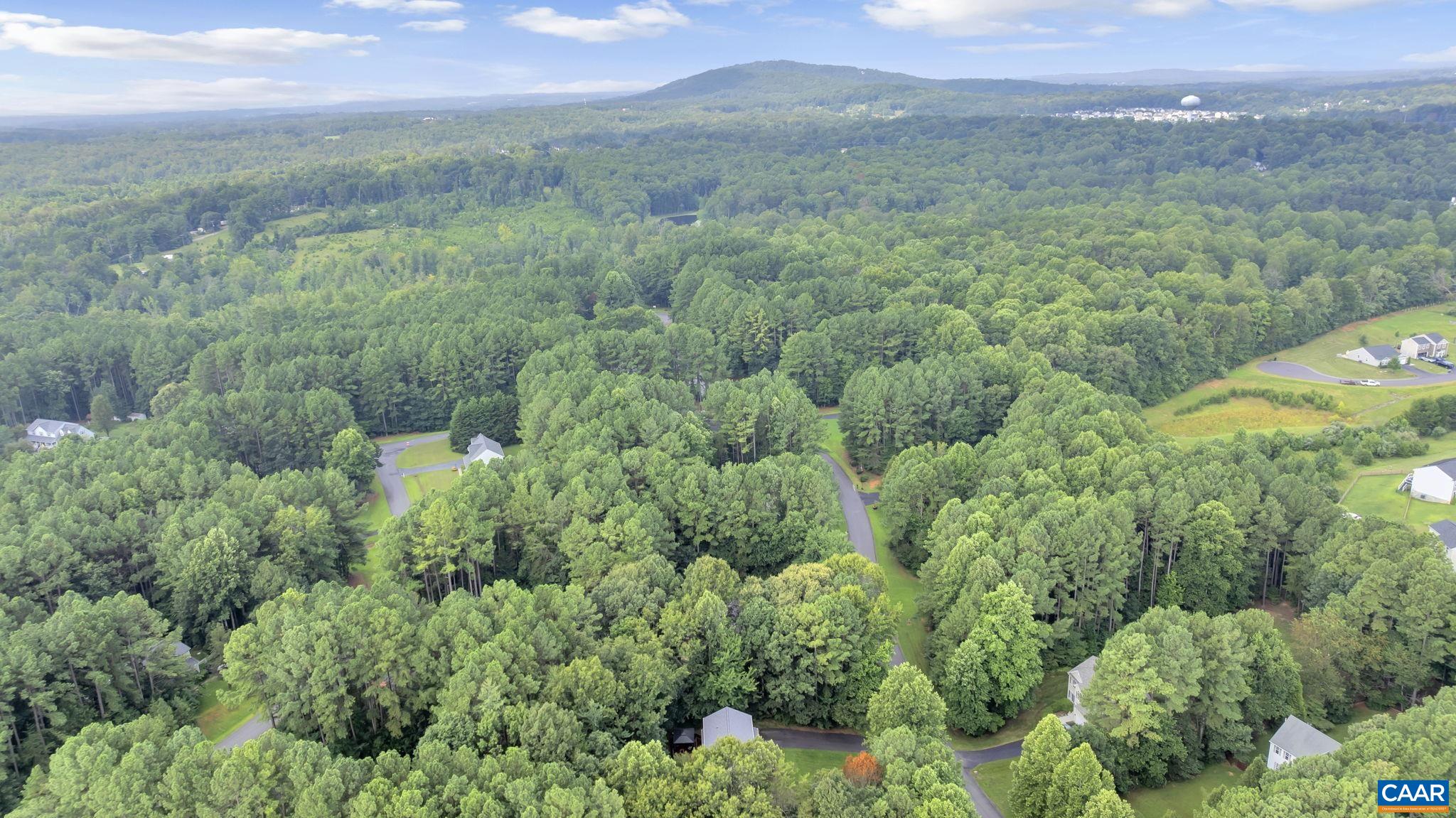 222 WHITE CEDAR RD, BARBOURSVILLE, Virginia 22923, 3 Bedrooms Bedrooms, ,3 BathroomsBathrooms,Residential,222 White Cedar Rd, Barboursville, VA 22923,222 WHITE CEDAR RD,667748 MLS # 667748