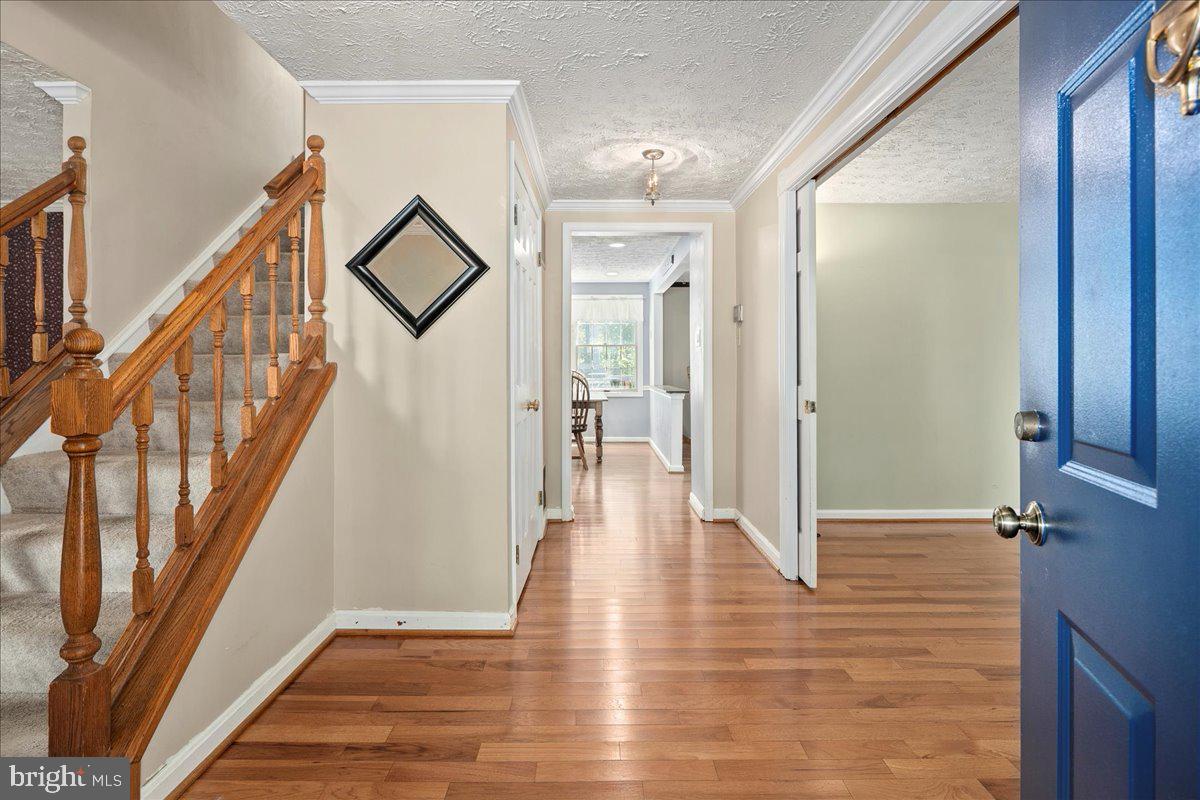 8461 RUSHING CREEK CT, SPRINGFIELD, Virginia 22153, 4 Bedrooms Bedrooms, ,2 BathroomsBathrooms,Residential,For sale,8461 RUSHING CREEK CT,VAFX2265958 MLS # VAFX2265958
