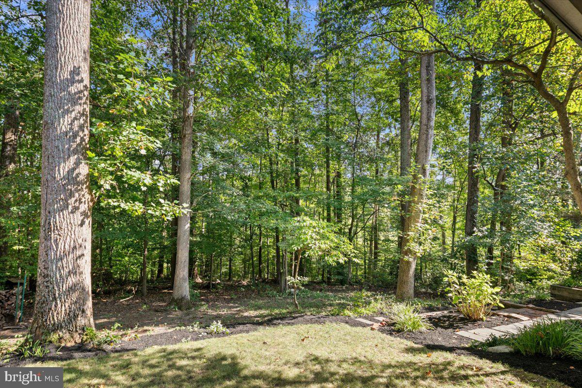 8461 RUSHING CREEK CT, SPRINGFIELD, Virginia 22153, 4 Bedrooms Bedrooms, ,2 BathroomsBathrooms,Residential,For sale,8461 RUSHING CREEK CT,VAFX2265958 MLS # VAFX2265958