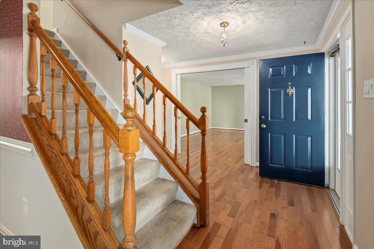 8461 RUSHING CREEK CT, SPRINGFIELD, Virginia 22153, 4 Bedrooms Bedrooms, ,2 BathroomsBathrooms,Residential,For sale,8461 RUSHING CREEK CT,VAFX2265958 MLS # VAFX2265958