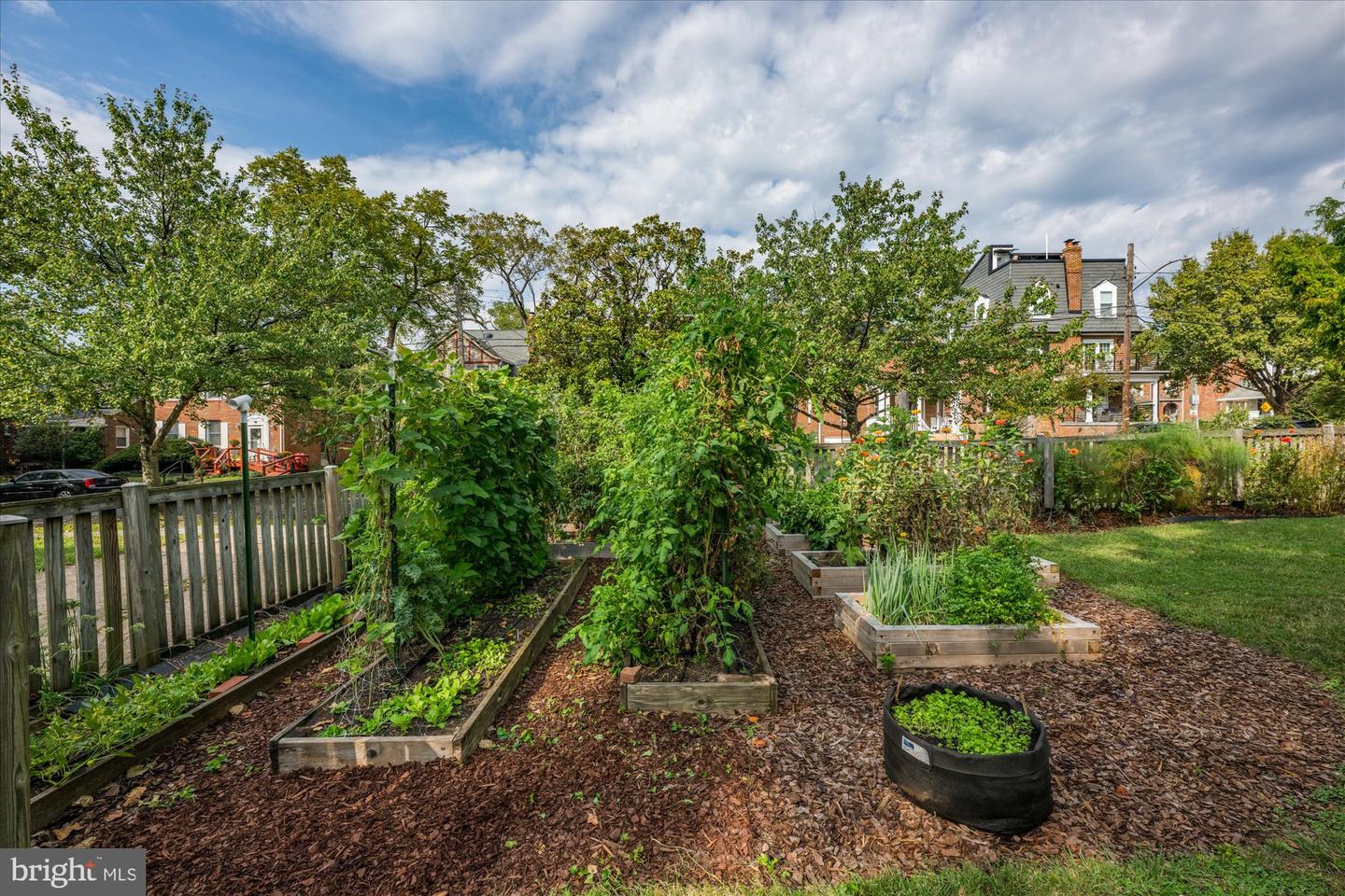 616 WHITTIER ST NW, WASHINGTON, District Of Columbia 20012, 5 Bedrooms Bedrooms, 8 Rooms Rooms,3 BathroomsBathrooms,Residential,For sale,616 WHITTIER ST NW,DCDC2222560 MLS # DCDC2222560
