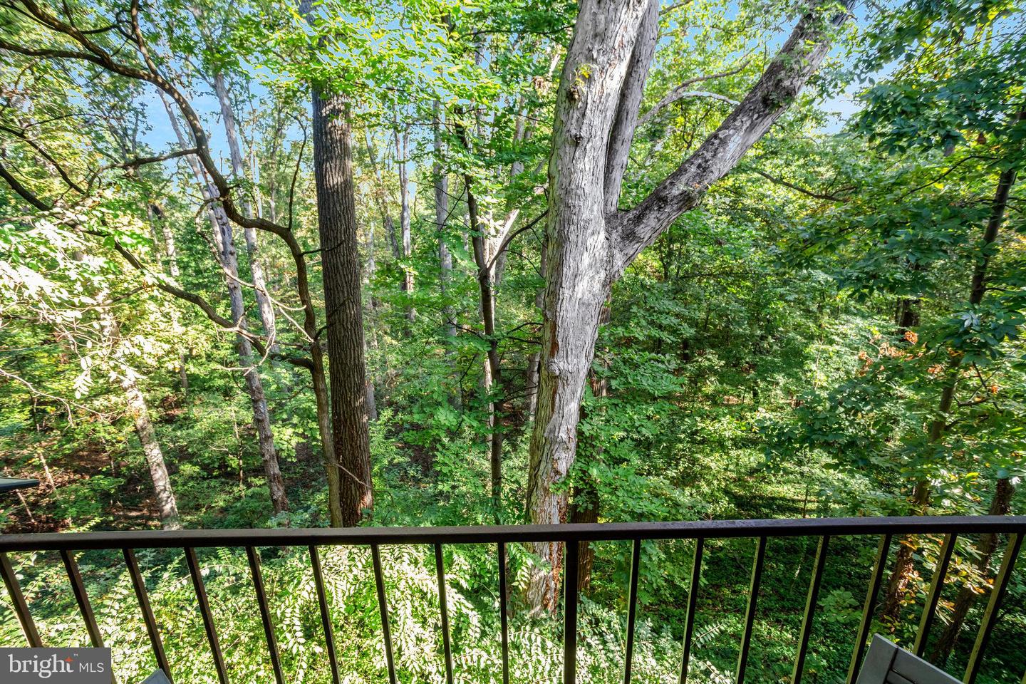 5049 7TH RD S #202, ARLINGTON, Virginia 22204, 1 Bedroom Bedrooms, ,1 BathroomBathrooms,Residential,For sale,5049 7TH RD S #202,VAAR2063916 MLS # VAAR2063916