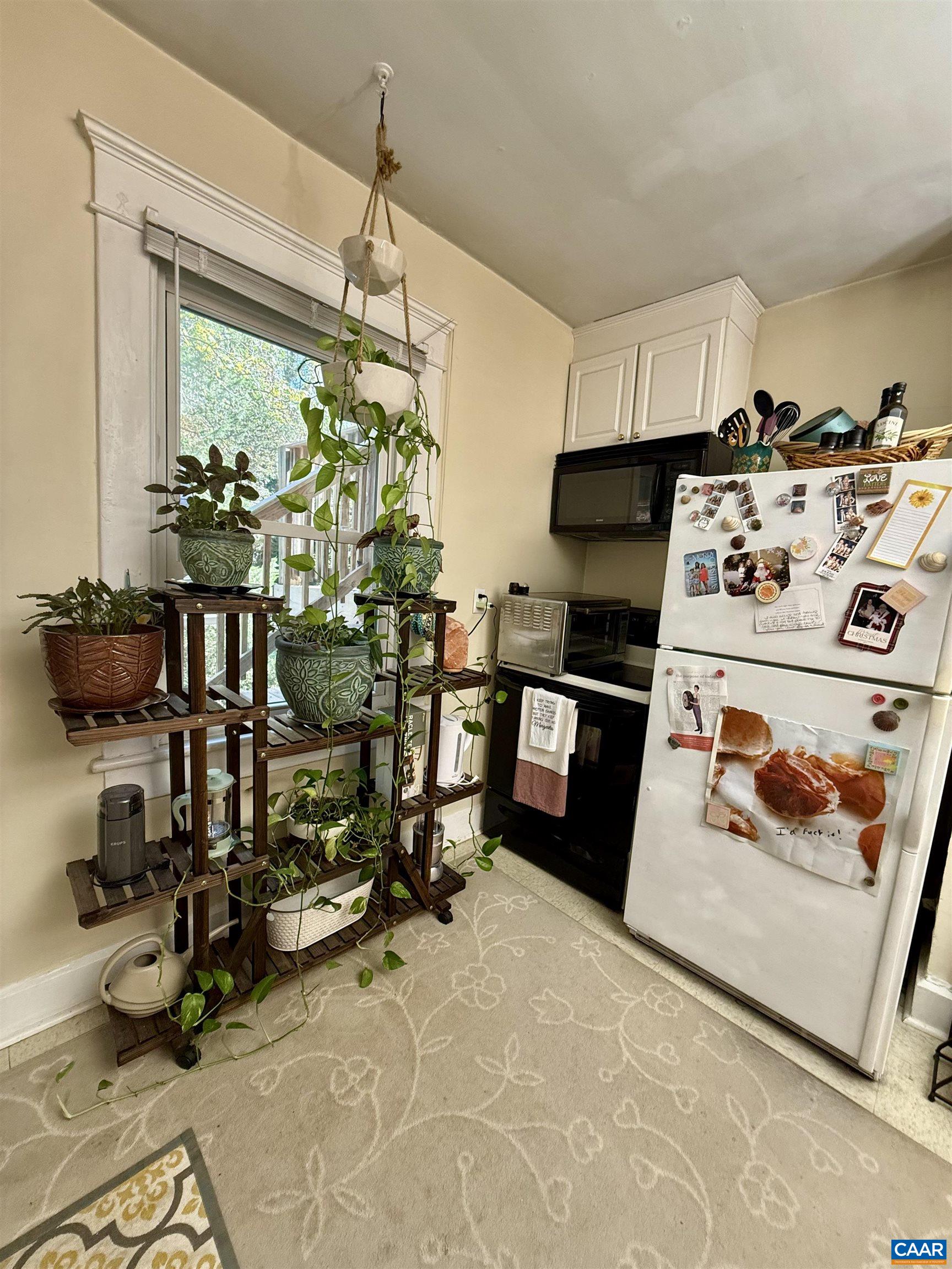 204 MONTE VISTA AVE, CHARLOTTESVILLE, Virginia 22903, ,Residential,204 MONTE VISTA AVE,669966 MLS # 669966