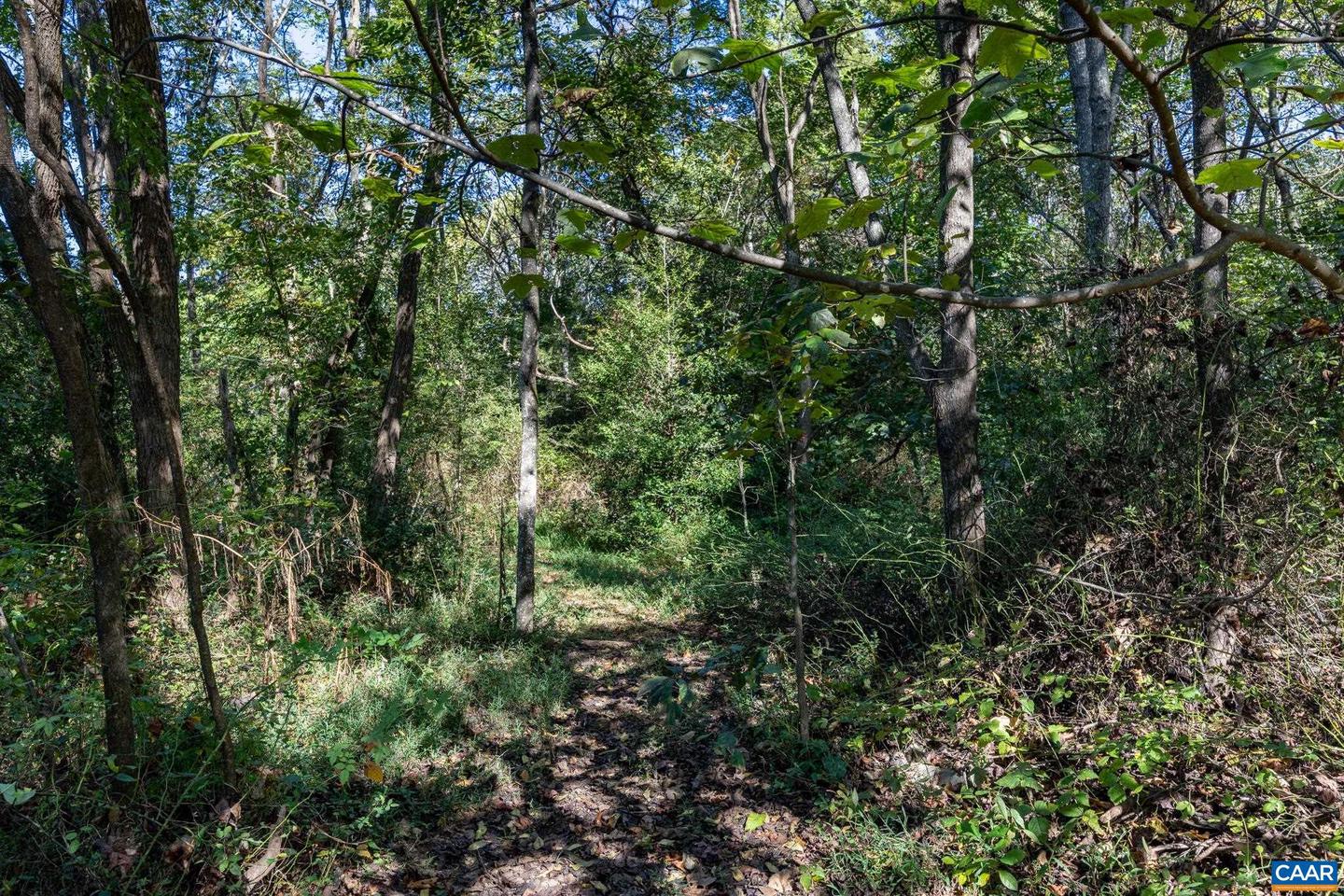 ORANGE RD, PRATTS, Virginia 22731, ,Land,For sale,ORANGE RD,669727 MLS # 669727