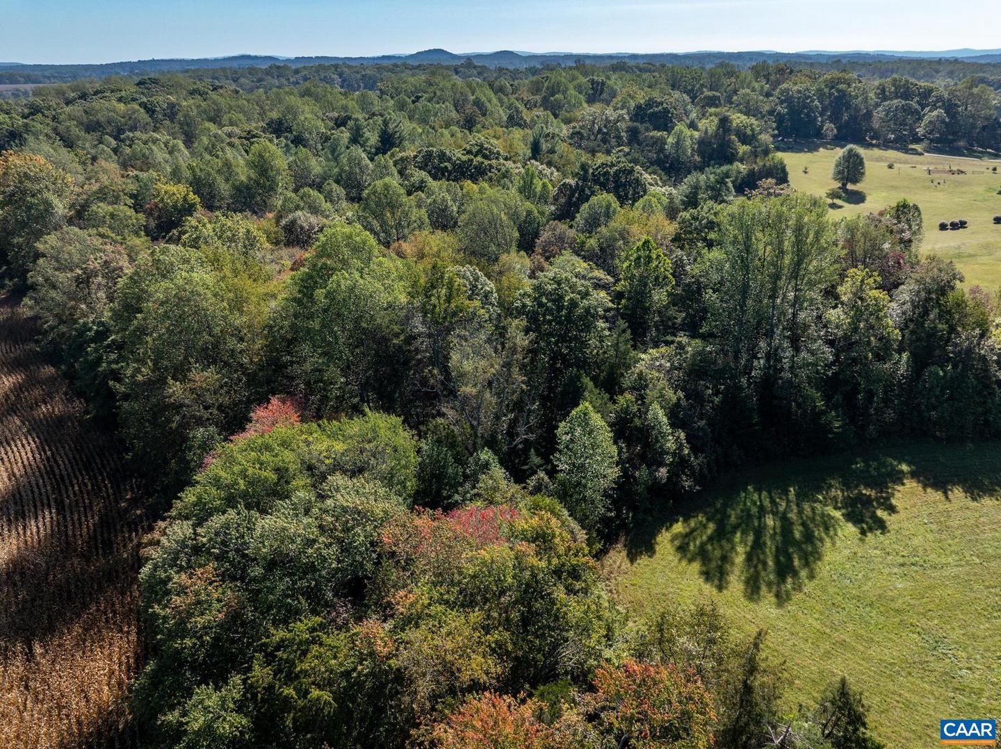 ORANGE RD, PRATTS, Virginia 22731, ,Land,For sale,ORANGE RD,669727 MLS # 669727