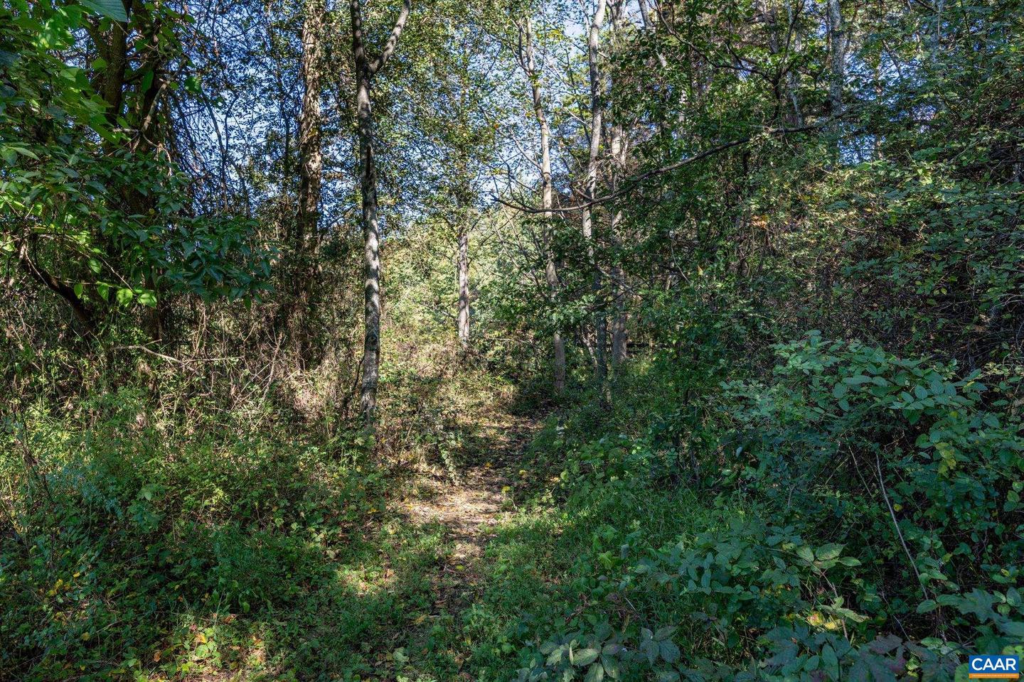 ORANGE RD, PRATTS, Virginia 22731, ,Land,For sale,ORANGE RD,669727 MLS # 669727