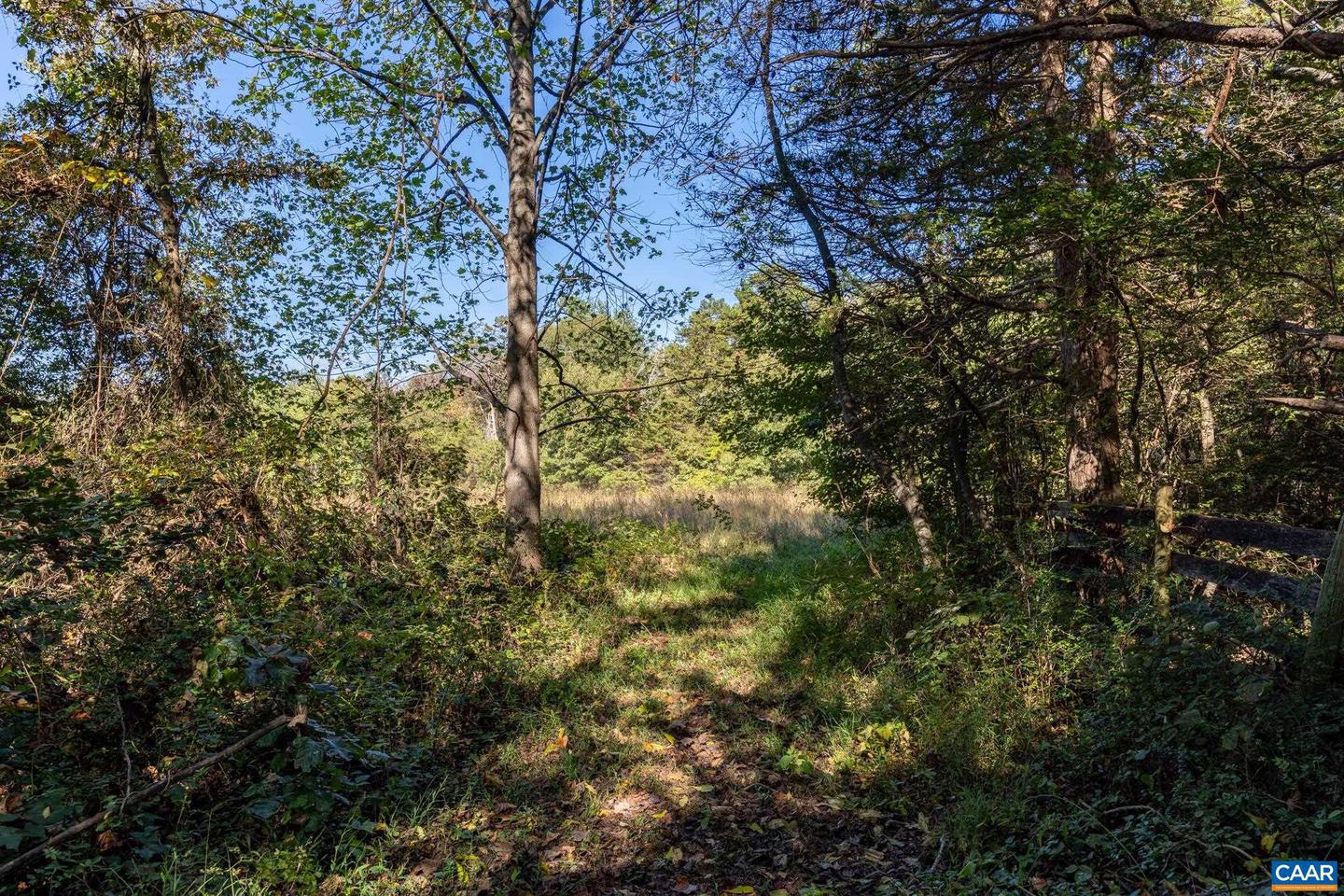 ORANGE RD, PRATTS, Virginia 22731, ,Land,For sale,ORANGE RD,669727 MLS # 669727