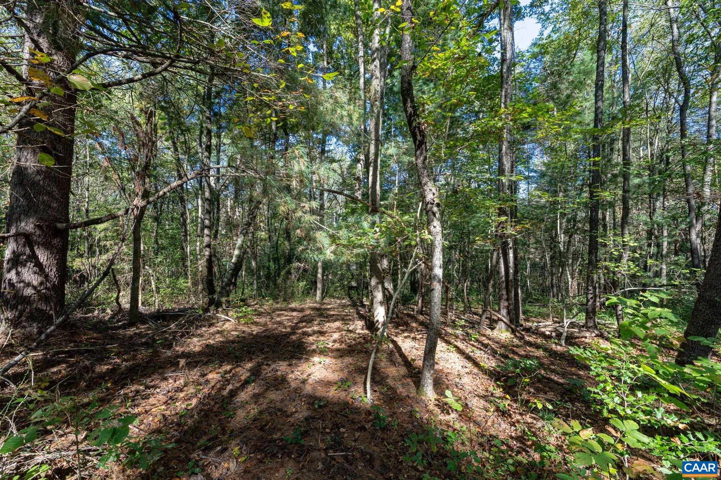 ORANGE RD, PRATTS, Virginia 22731, ,Land,For sale,ORANGE RD,669727 MLS # 669727