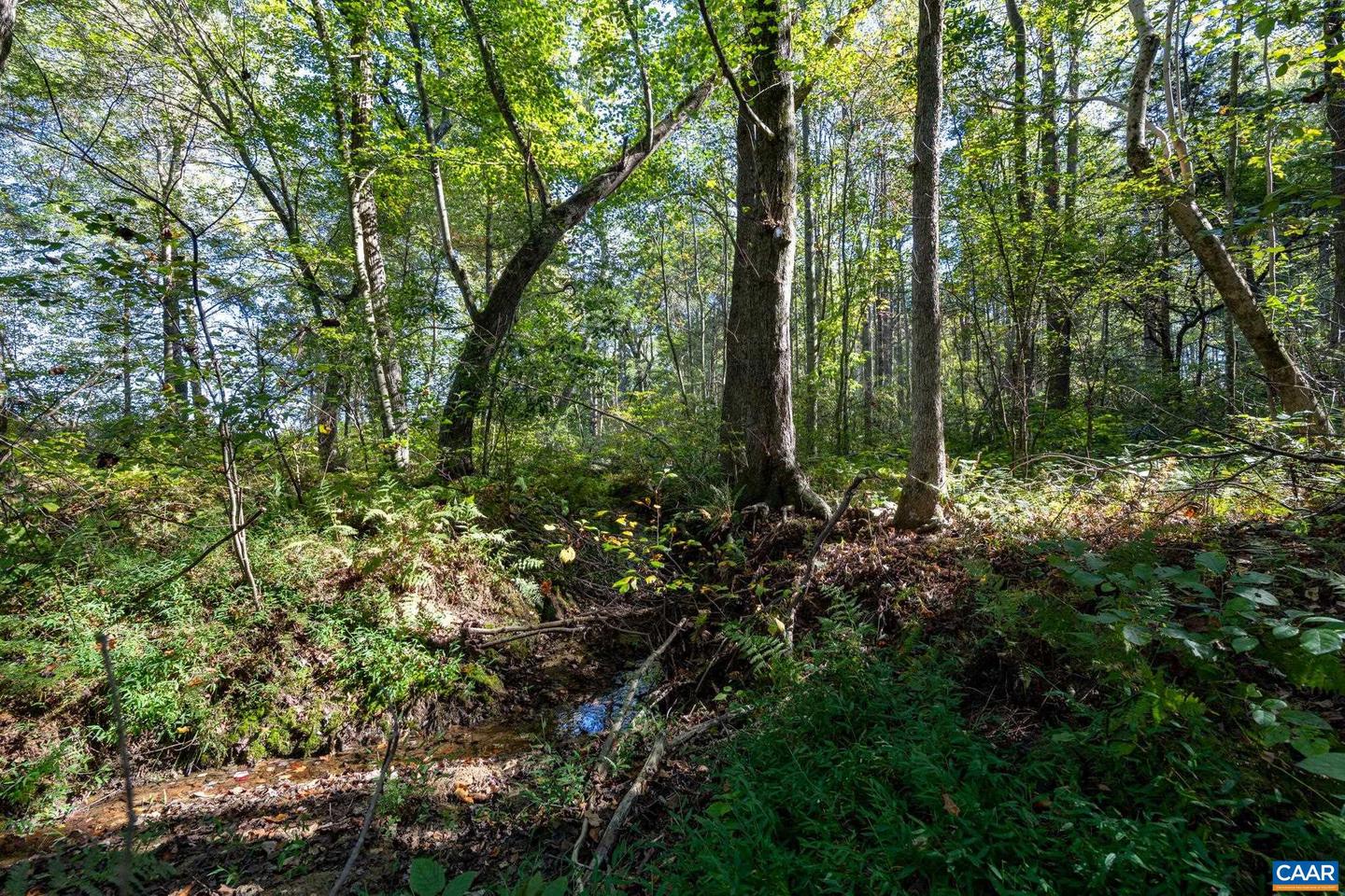 ORANGE RD, PRATTS, Virginia 22731, ,Land,For sale,ORANGE RD,669727 MLS # 669727
