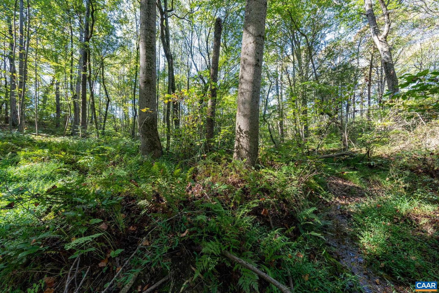 ORANGE RD, PRATTS, Virginia 22731, ,Land,For sale,ORANGE RD,669727 MLS # 669727