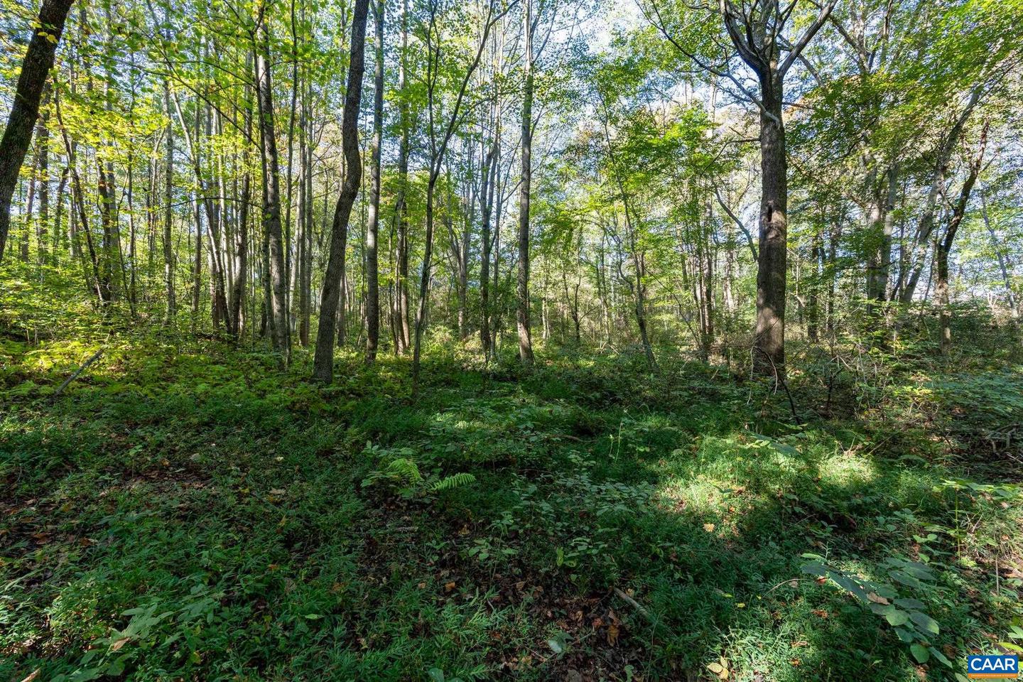 ORANGE RD, PRATTS, Virginia 22731, ,Land,For sale,ORANGE RD,669727 MLS # 669727
