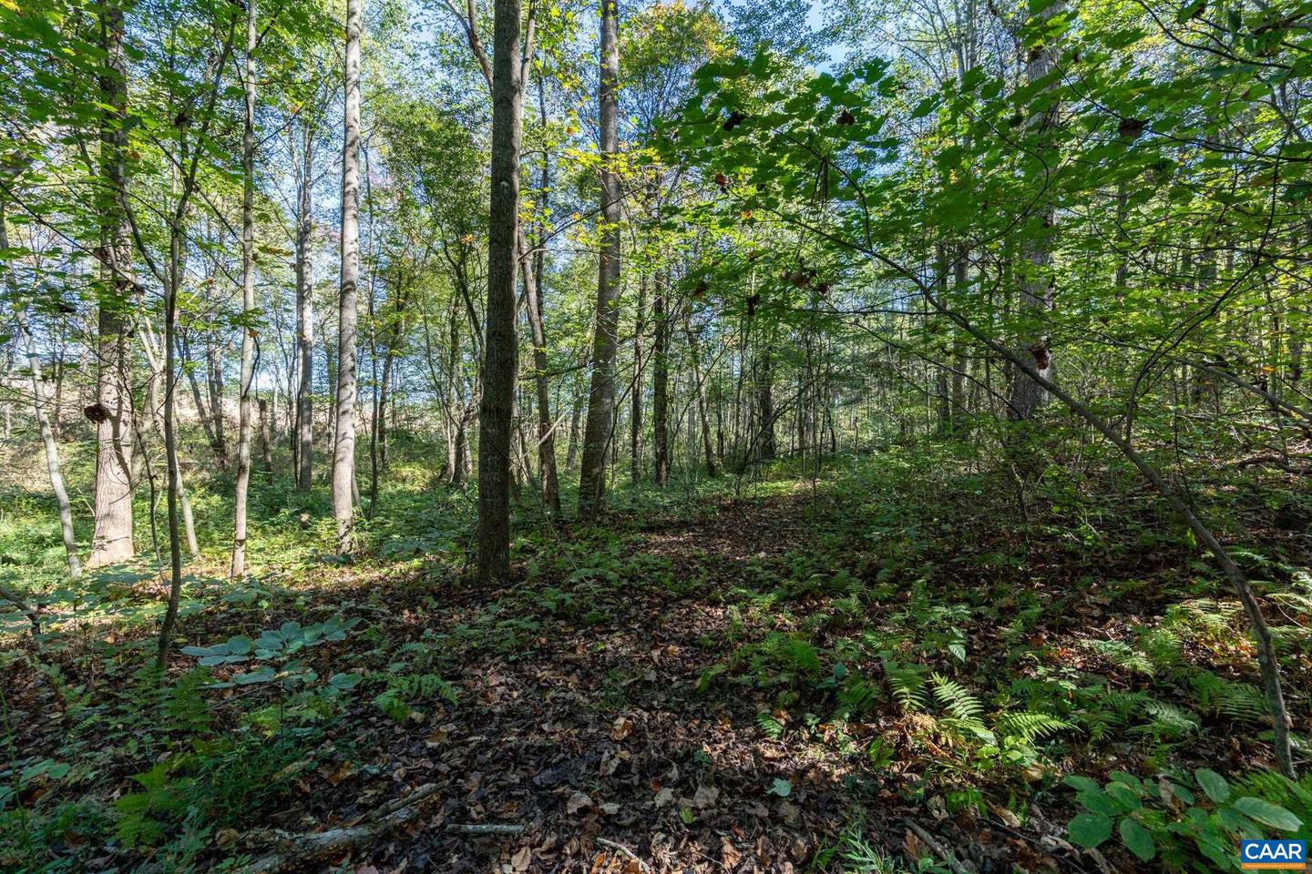 ORANGE RD, PRATTS, Virginia 22731, ,Land,For sale,ORANGE RD,669727 MLS # 669727