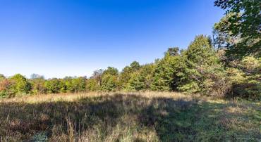 ORANGE RD, PRATTS, Virginia 22731, ,Land,For sale,ORANGE RD,669727 MLS # 669727