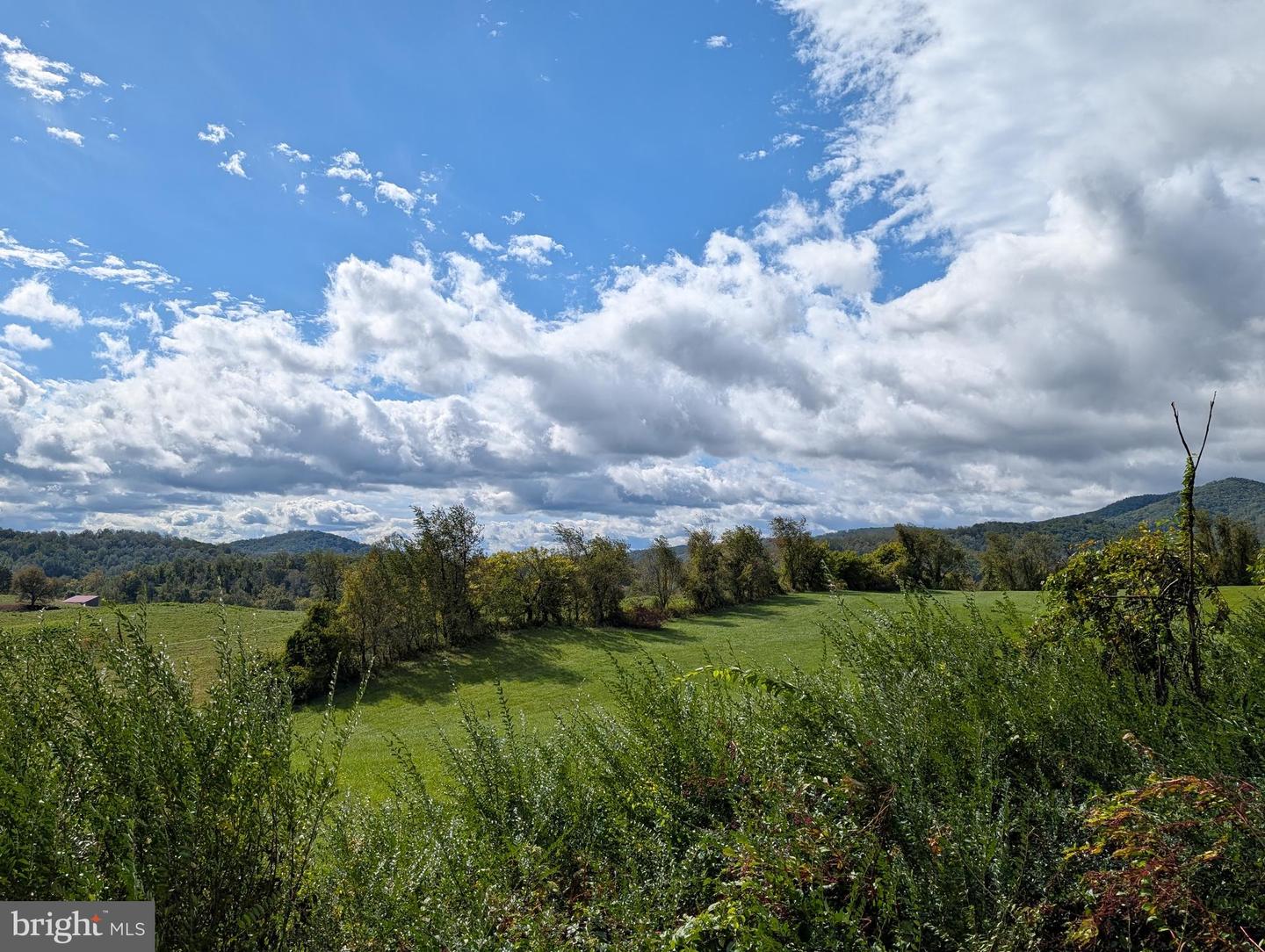 0 WOODARD RD, SPERRYVILLE, Virginia 22740, ,Land,For sale,0 WOODARD RD,VARP2002318 MLS # VARP2002318