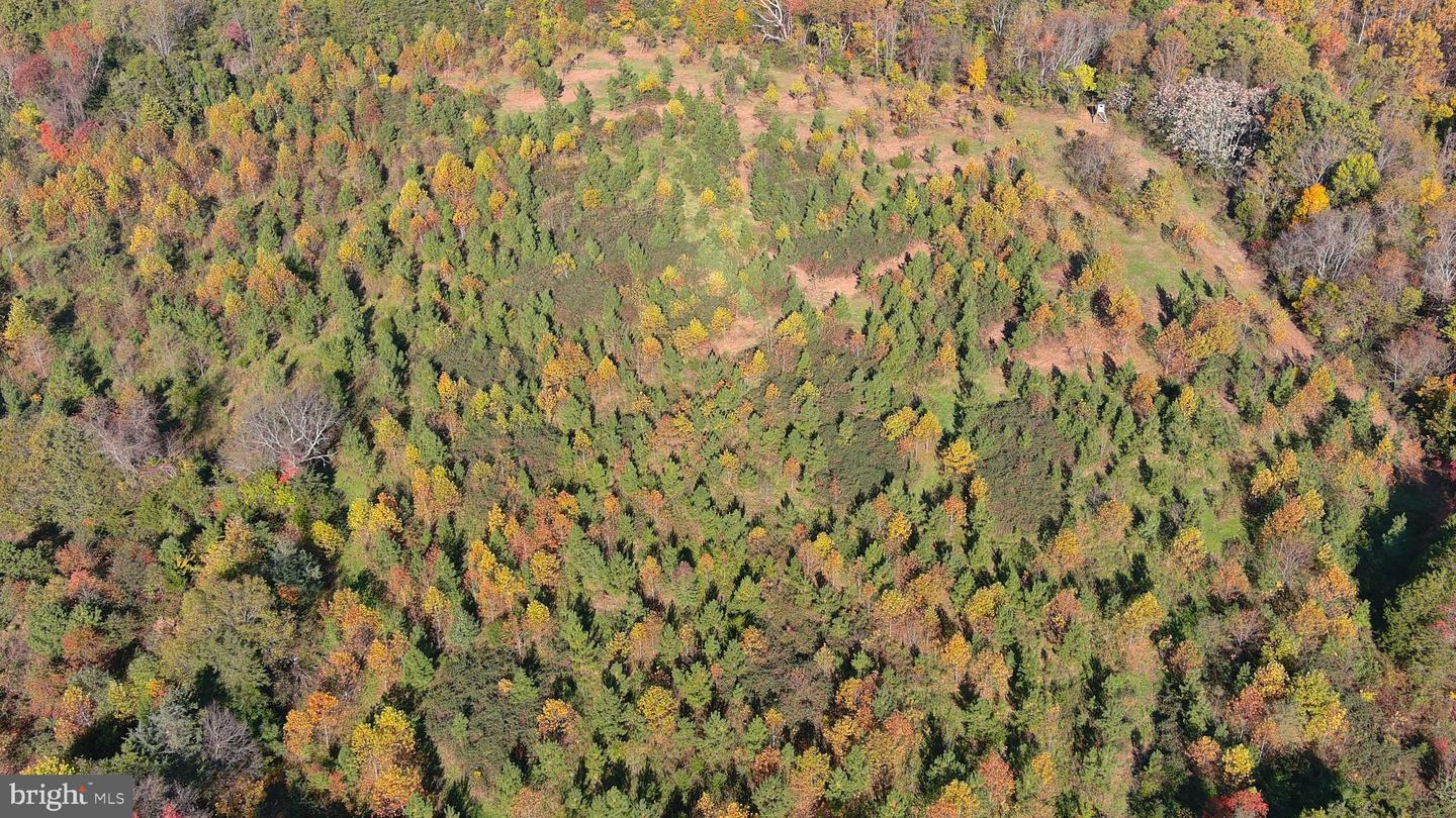 OLD BARBOURSVILLE RD, GORDONSVILLE, Virginia 22942, ,Farm,For sale,OLD BARBOURSVILLE RD,VAOR2012534 MLS # VAOR2012534