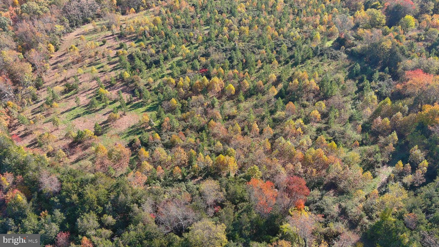 OLD BARBOURSVILLE RD, GORDONSVILLE, Virginia 22942, ,Farm,For sale,OLD BARBOURSVILLE RD,VAOR2012534 MLS # VAOR2012534