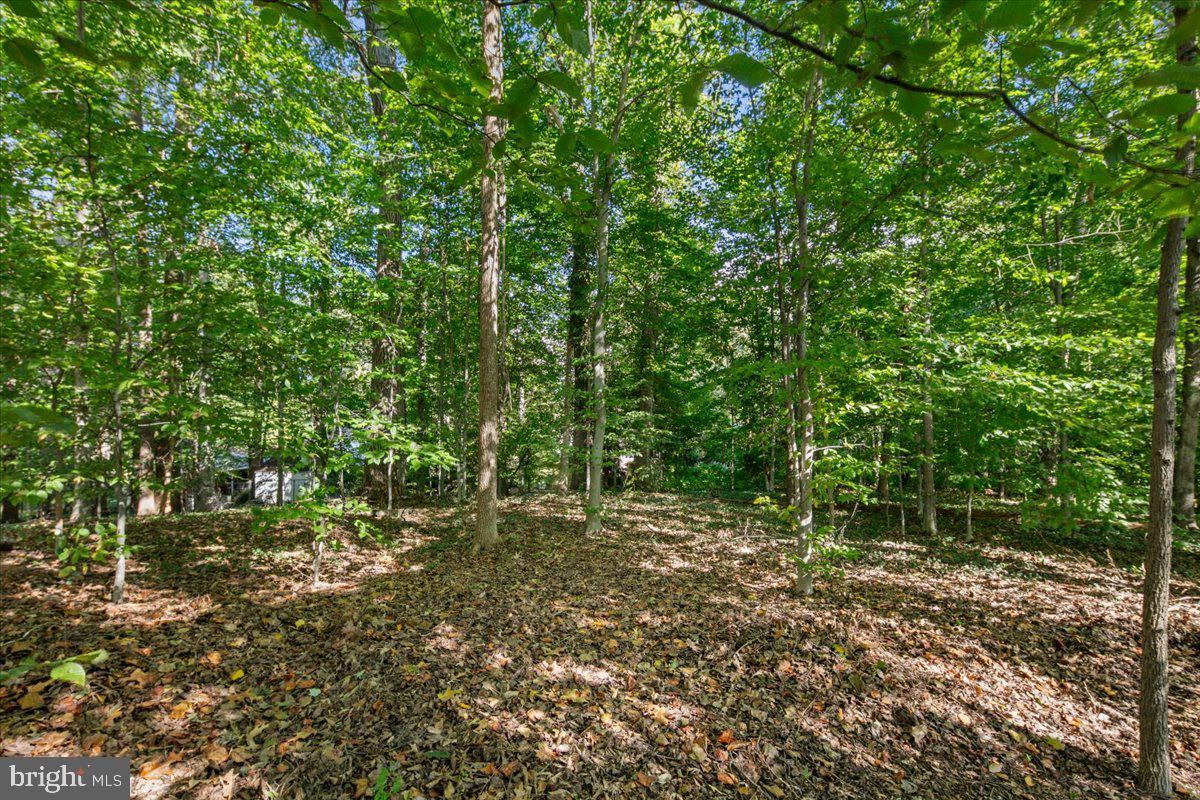 5025 KINGSTON DR, ANNANDALE, Virginia 22003, 5 Bedrooms Bedrooms, ,3 BathroomsBathrooms,Residential,For sale,5025 KINGSTON DR,VAFX2272692 MLS # VAFX2272692